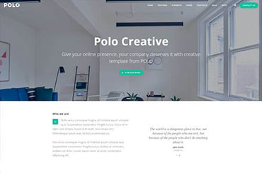 Polo Creative v7