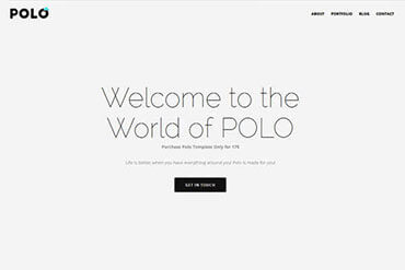 Polo Minimal